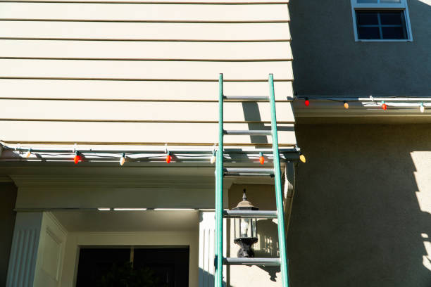 Best Siding Repair  in Pleasanton, TX